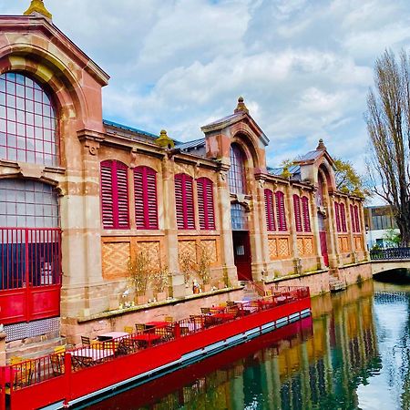 Appartement Spacieux A Colmar Avec Terrasse, Garage Privatif, Proche Centre Et Gare - Fr-1-722-2 Exteriör bild