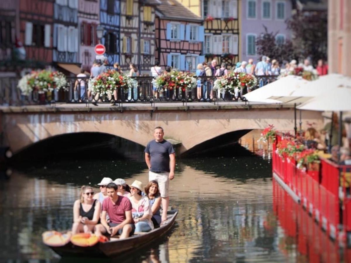 Appartement Spacieux A Colmar Avec Terrasse, Garage Privatif, Proche Centre Et Gare - Fr-1-722-2 Exteriör bild