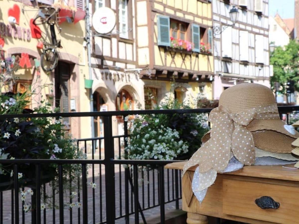 Appartement Spacieux A Colmar Avec Terrasse, Garage Privatif, Proche Centre Et Gare - Fr-1-722-2 Exteriör bild