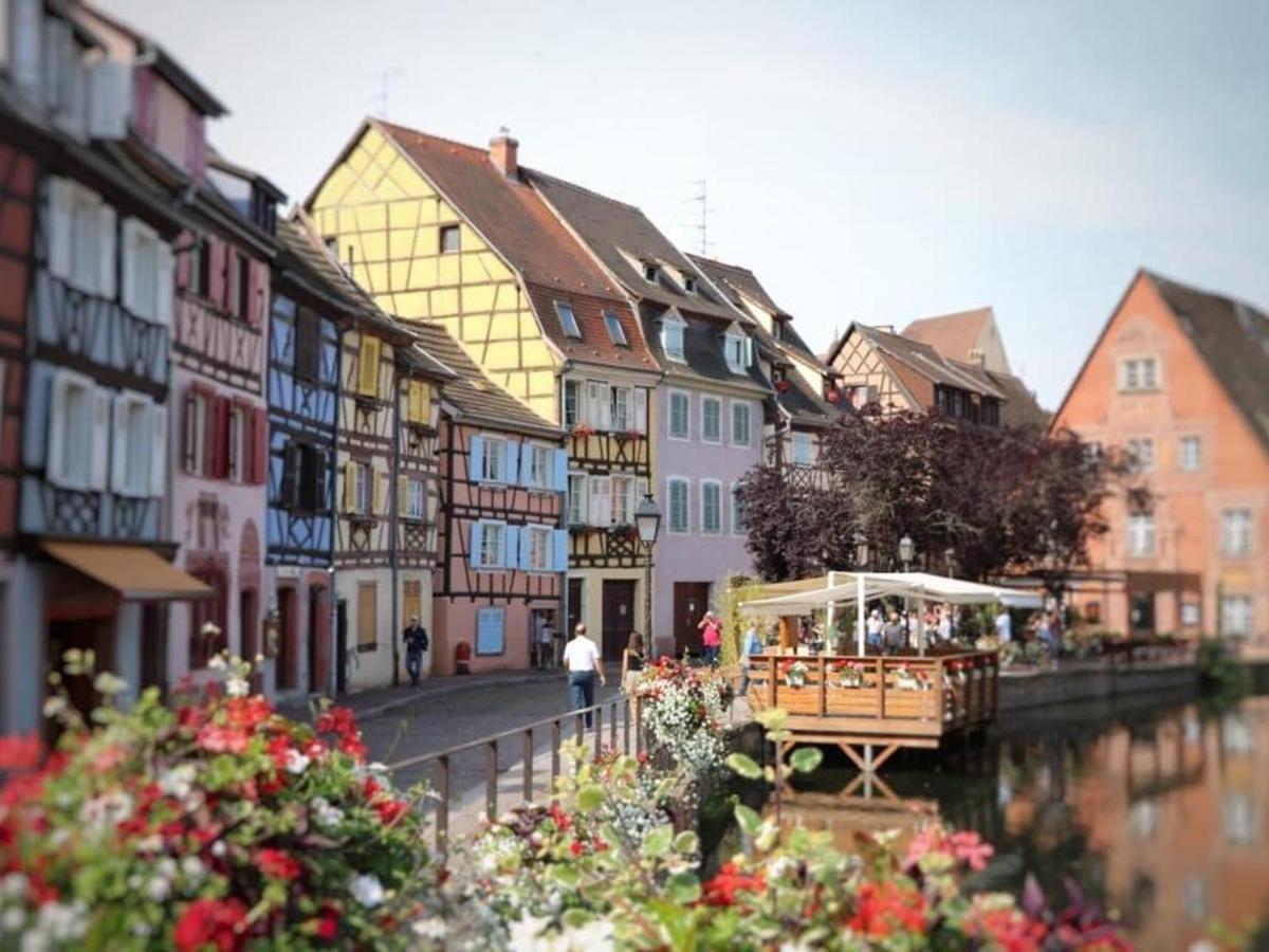 Appartement Spacieux A Colmar Avec Terrasse, Garage Privatif, Proche Centre Et Gare - Fr-1-722-2 Exteriör bild